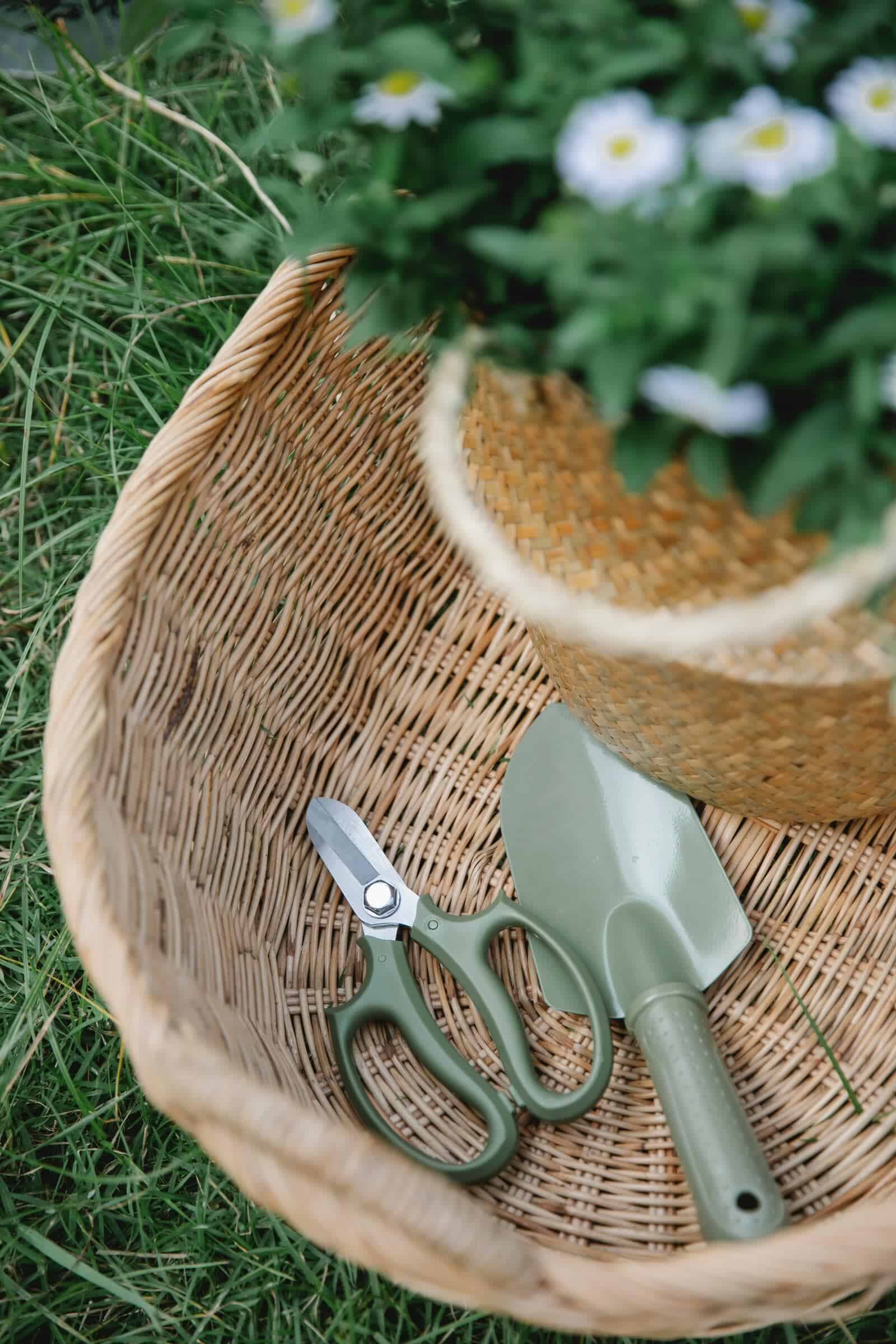 Flower Basket