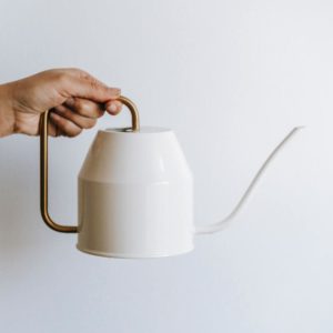 MCM Watering Can
